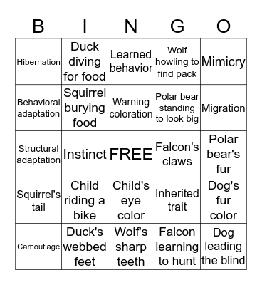 ADAPTATIONS Bingo Card