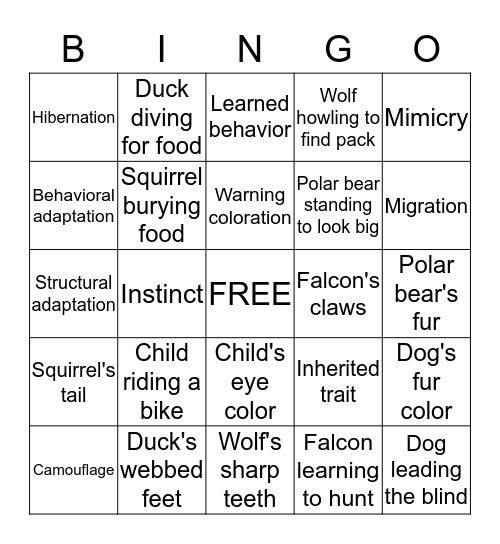 ADAPTATIONS Bingo Card