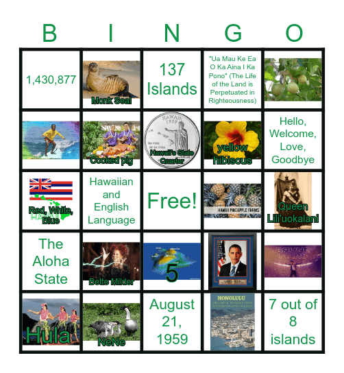 Hawaii  *Aloha* Bingo Card