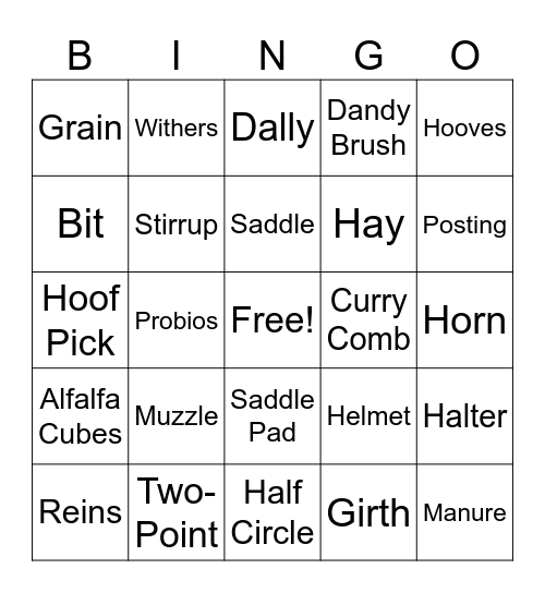 Horse Camp Bingo Card