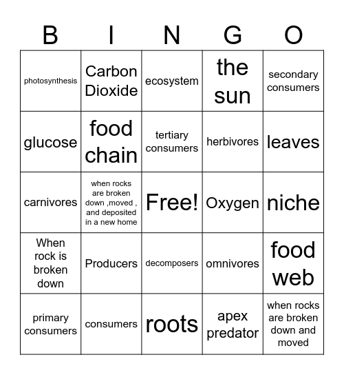 Unit 8 Bingo Card