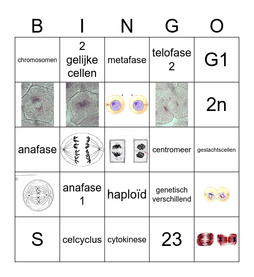 Mitosis Bingo Card