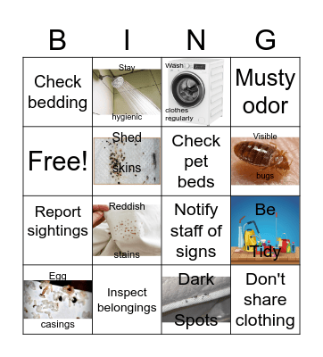 Bedbug Prevention Bingo Card