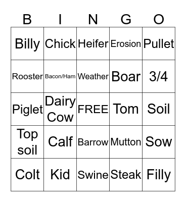 Farm Bingo Card