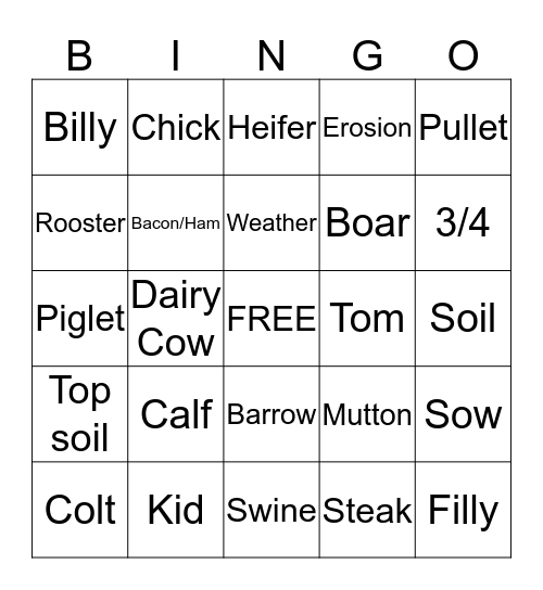 Farm Bingo Card