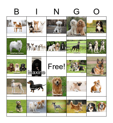 Dogs Bingo Card