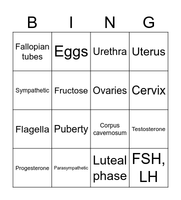 Reproductive System Bingo Card