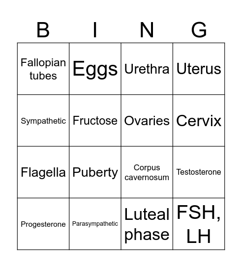 Reproductive System Bingo Card