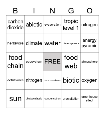 MATTER & ENERGY IN THE ENVIRONMENT Bingo Card