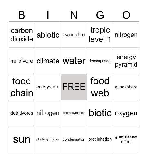 MATTER & ENERGY IN THE ENVIRONMENT Bingo Card