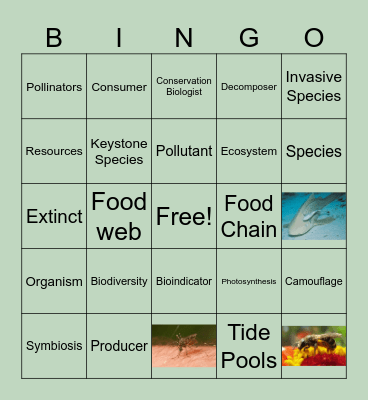 Maintaining Biodiversity Bingo Card