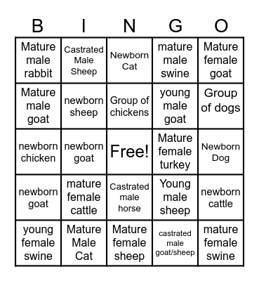 Animal Classification Bingo Card