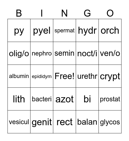 Urology and Nephrology Bingo Card
