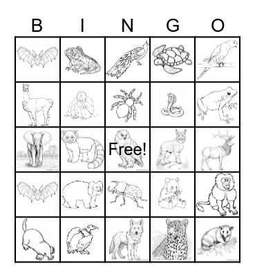 Animals Bingo Card