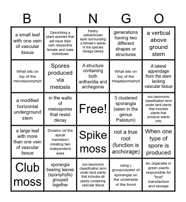 Unit 2 Bingo :) Bingo Card