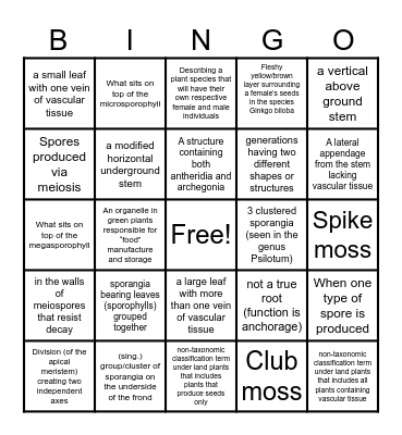 Unit 2 Bingo :) Bingo Card