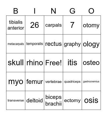 Medical Terminology Bingo Card