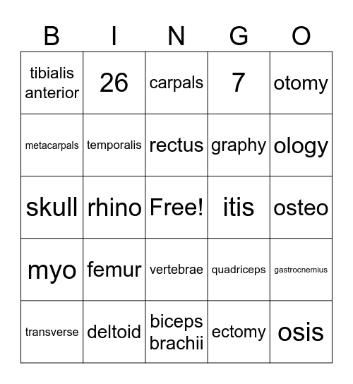 Medical Terminology Bingo Card