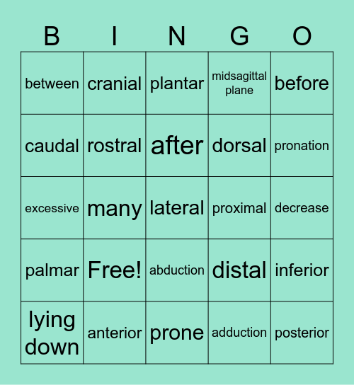 Directional Anatomy Bingo Card