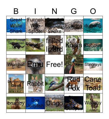 Australia Invasive vs. Indigenous Species Bingo Card