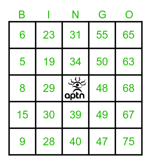 Number Bingo 1-75 Bingo Card