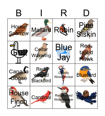 Bird Bingo Card