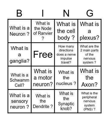 CALEB: A.P. CLASS Neuron Structure Bingo Card