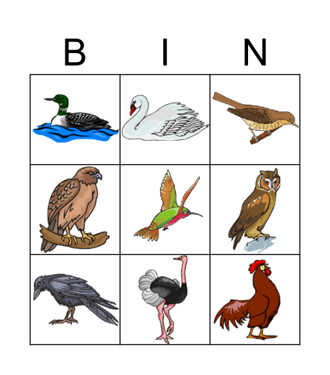 Birds Bingo Card