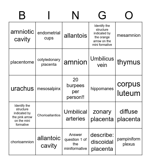 Fetal Membranes and Placenta Bingo Card