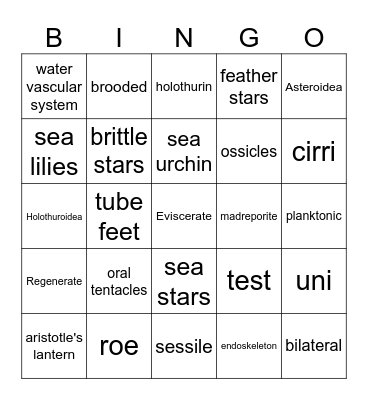 Phylum Echinodermata Bingo Card