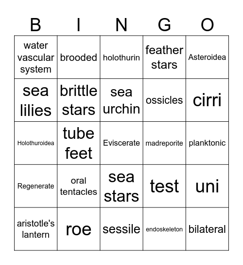 Phylum Echinodermata Bingo Card