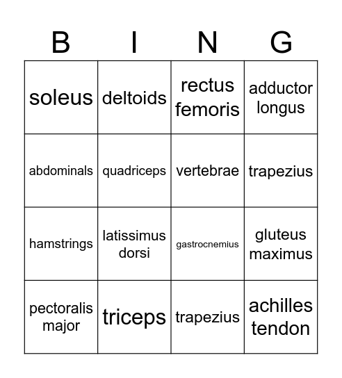 Muscles Bingo Card