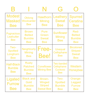 Olbrich Member Bee Bingo! Bingo Card