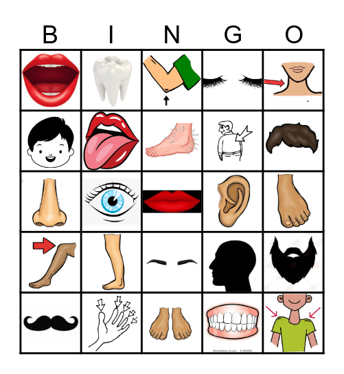 Die Körperteile Bingo Card