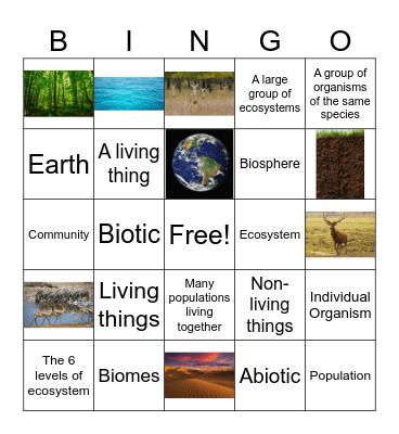 The 6 Levels Of Organization in an Ecosystem Bingo Card