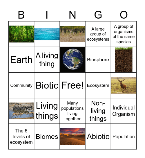 The 6 Levels Of Organization in an Ecosystem Bingo Card