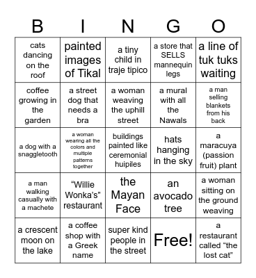 You might be in San Juan La Laguna if you see... Bingo Card