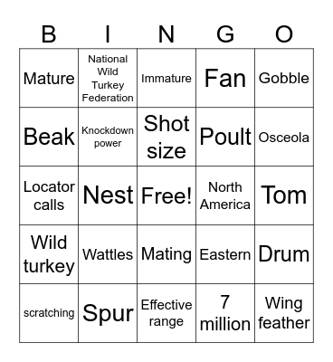 Wild Turkey 101 Bingo Card