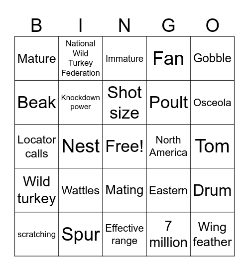 Wild Turkey 101 Bingo Card