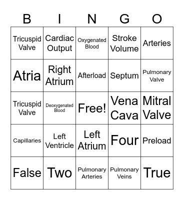 Blood Flow through the Heart Bingo Card