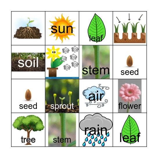 Plant Bingo Card