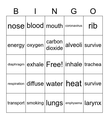 Respiratory System Bingo Card