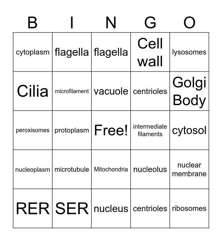 Organelles Bingo Card