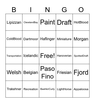 Equine Breeds & Uses Bingo Card