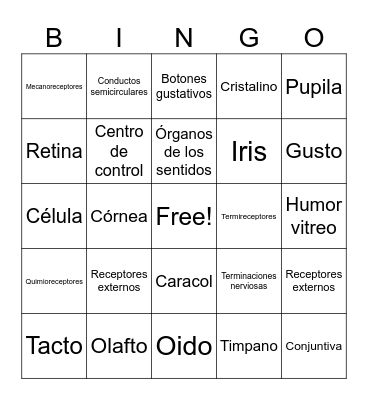 Biología Bingo Card