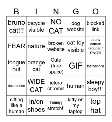 cat website bingo Card