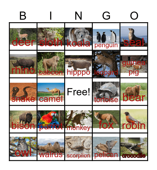 Animals from (Africa, NA, SA, Australia, Antarctica, Arctic) Bingo Card