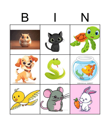 The Pets! Bingo Card