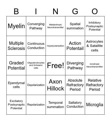 Nerve Physiology Bingo Card