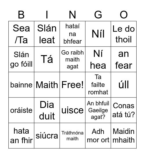 5th Year Irish Bingo Card